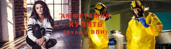 прущие крисы Ельня