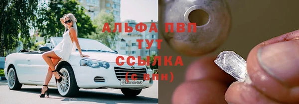 прущие крисы Ельня