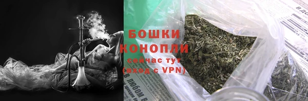 прущие крисы Ельня