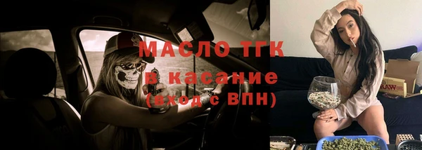 прущие крисы Ельня