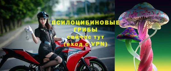 гашик Елабуга
