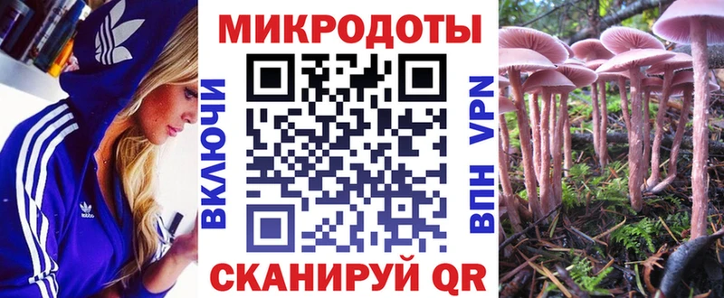 Купить  Семёнов  Галлюциногенные грибы прущие грибы 