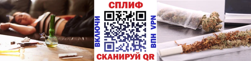 Купить где  Семёнов  Бошки Шишки THC 21% 